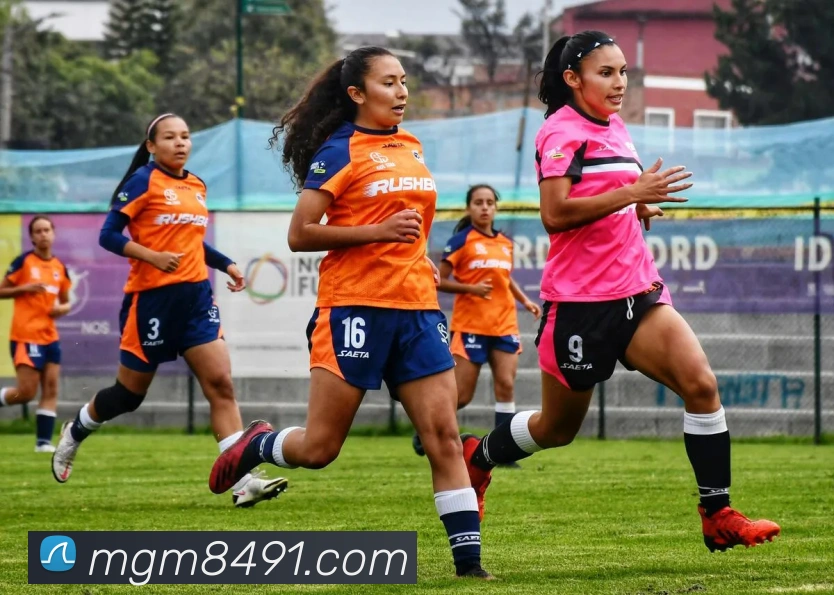 美高梅官网APP 封面图